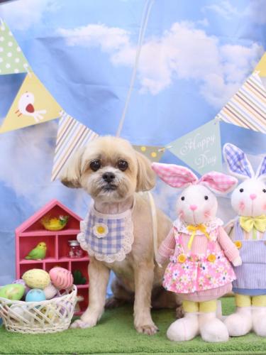 20240324ラルクくん